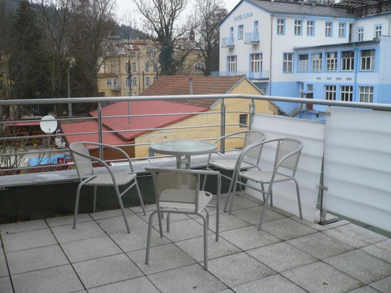 Studio with Terrace image 2