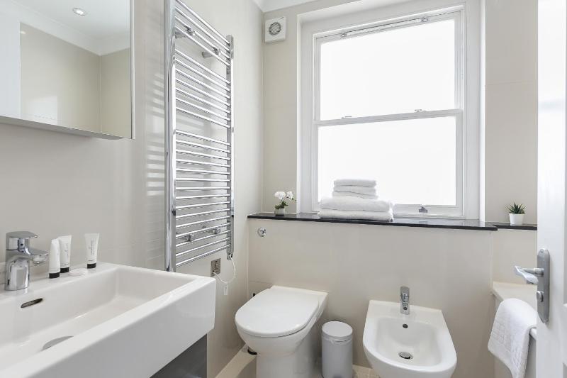 One-Bedroom Apartment image 2