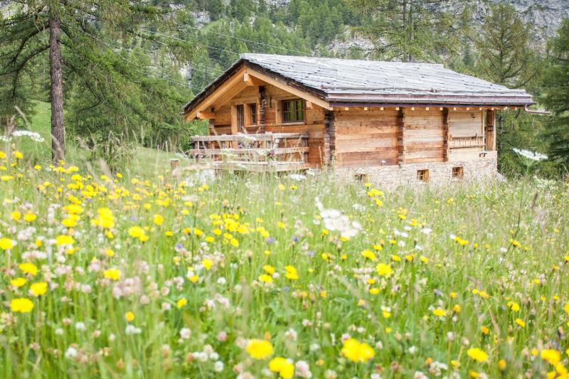 Mountain Chalet 4 You only for 2 private wellness for a romantic honeymoon - image 9