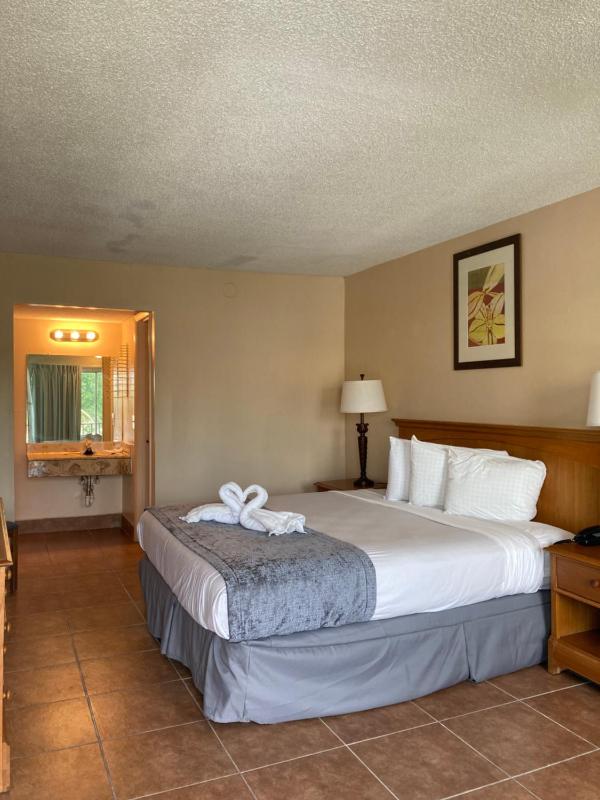 King Room image 3