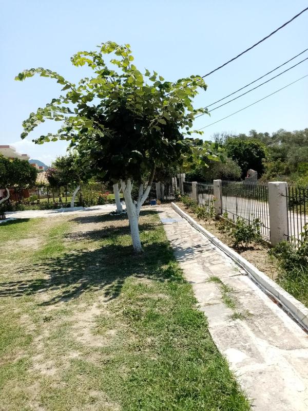 Villa Nikitas - image 22