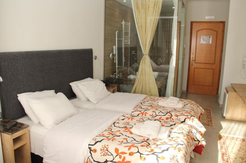 Double or Twin Room image 1