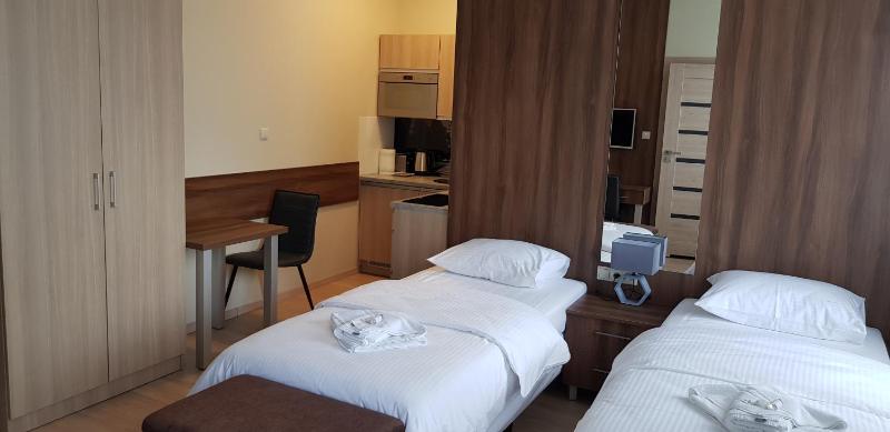 Superior Double or Twin Room with City View image 3