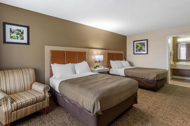 Standard Double Room image 4