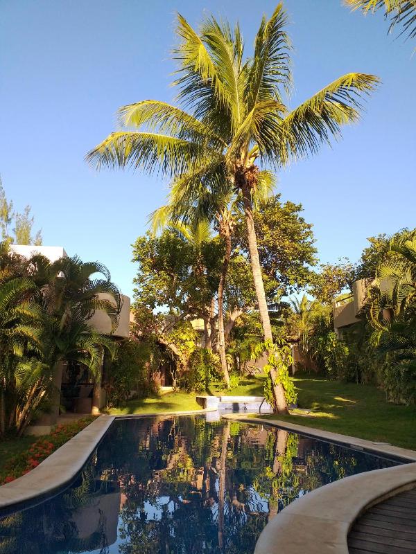 Paraiso Tropical - Casa 7 - image 33