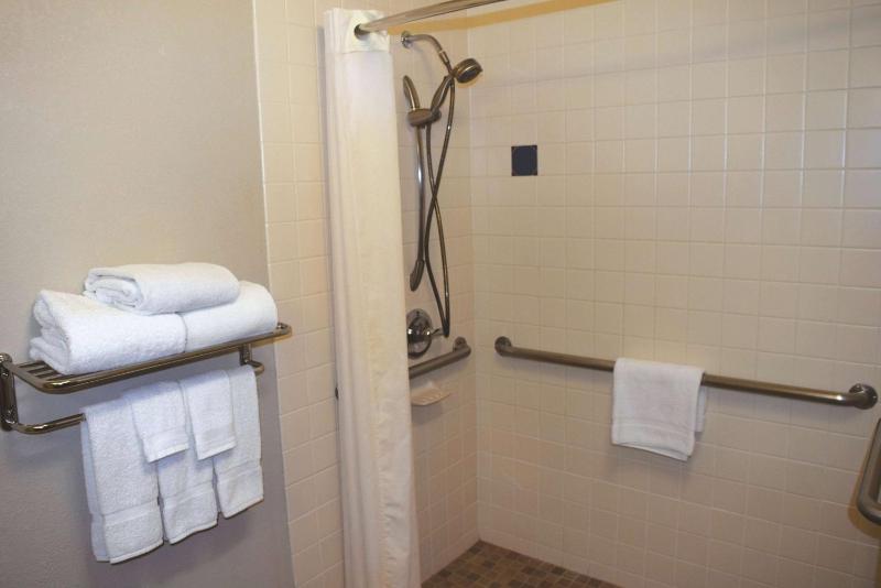 Queen Room with Bath Tub - Mobility/Hearing Accessible - Non-Smoking image 1