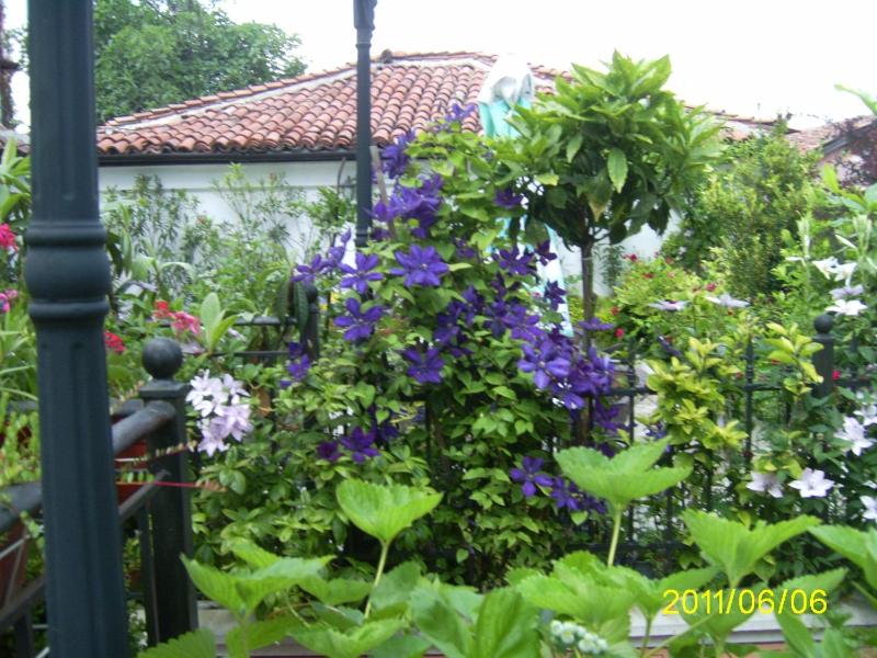 Hotel Alafrangite - image 20