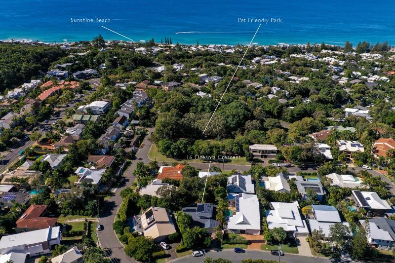 The Perfect Pet Friendly Escape Sunshine Beach - image 12