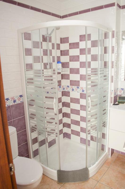 Standard Apartment image 4