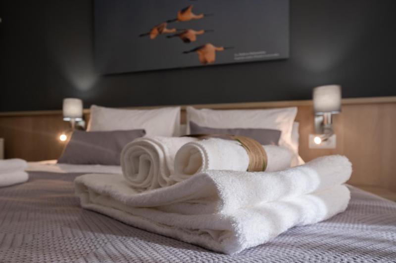 One-Bedroom Apartment image 4