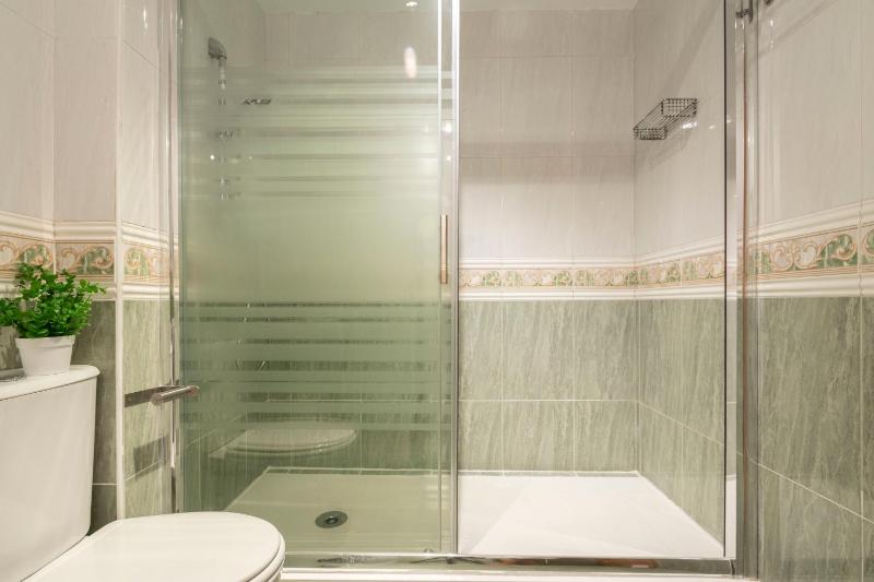 One-Bedroom Apartment image 3