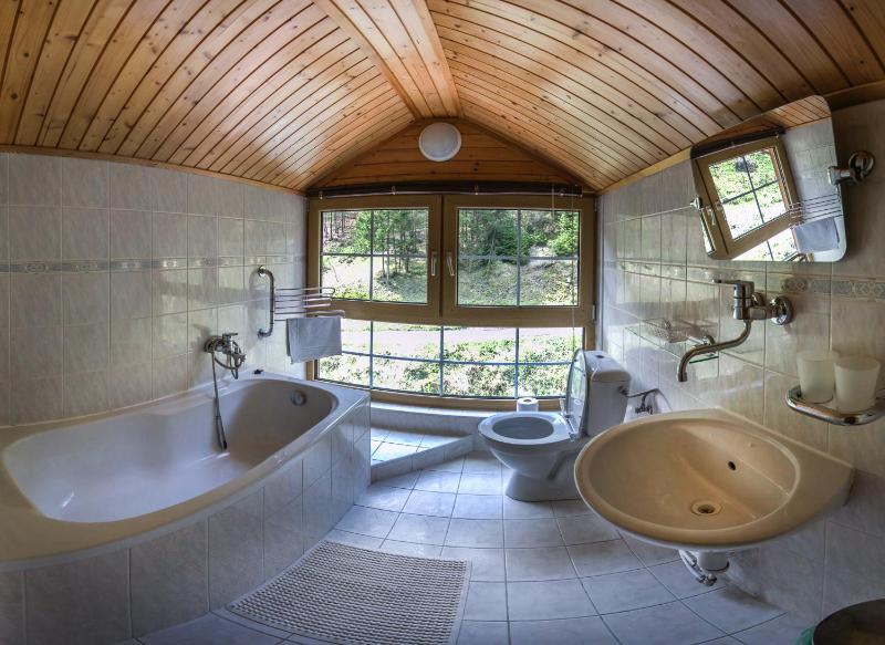 Double or Twin Room image 4