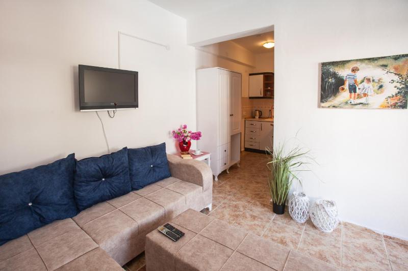 One-Bedroom Apartment image 2