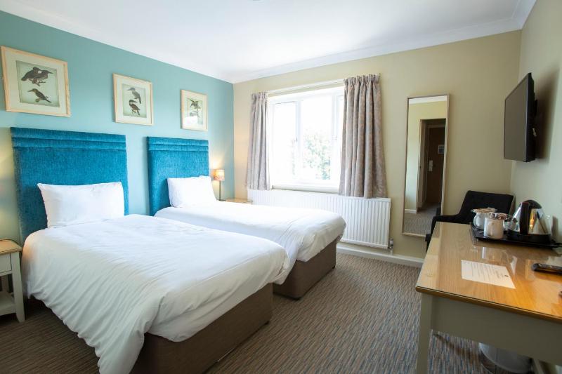 Classic Twin Room image 3
