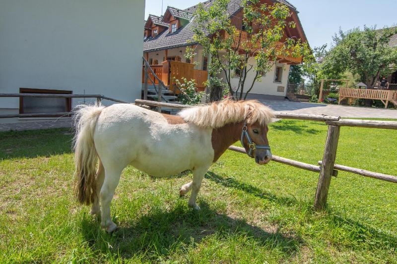 Tourist Farm 