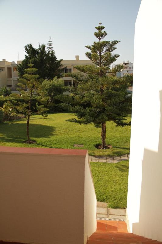 Barracuda Vilamoura - image 7