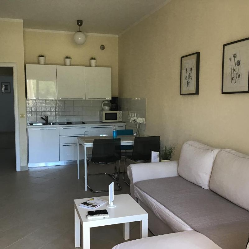 One-Bedroom Apartment with Patio image 3