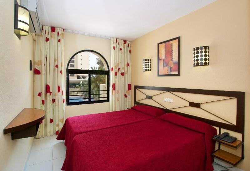 Room #1262858 image 3