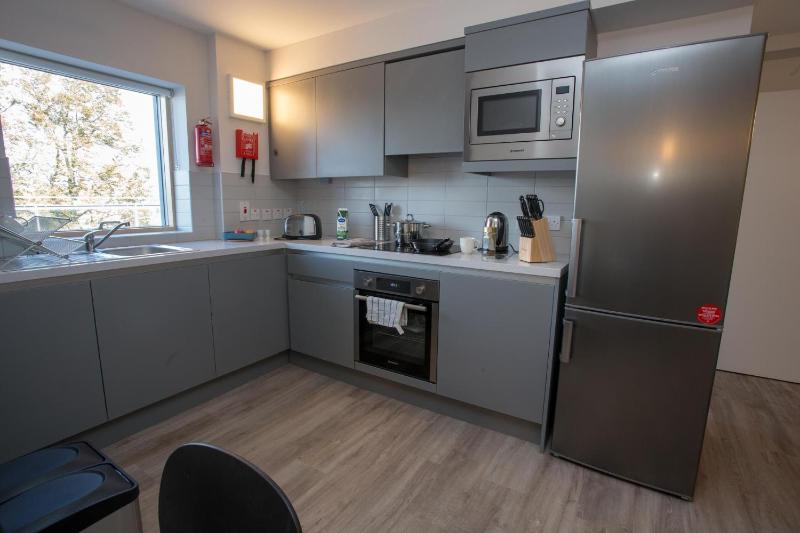 Penthouse Apartment image 4