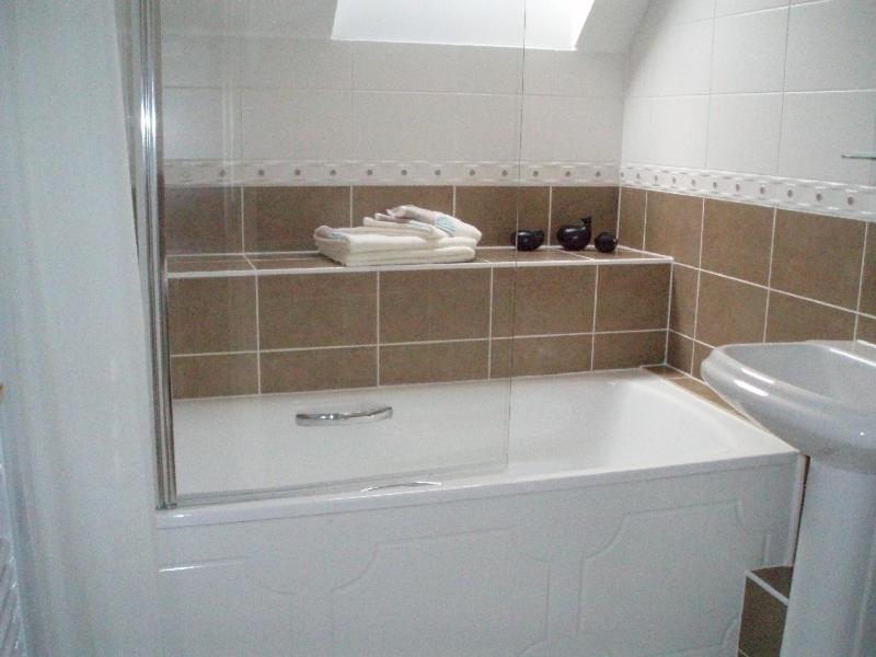 One-Bedroom Apartment image 4