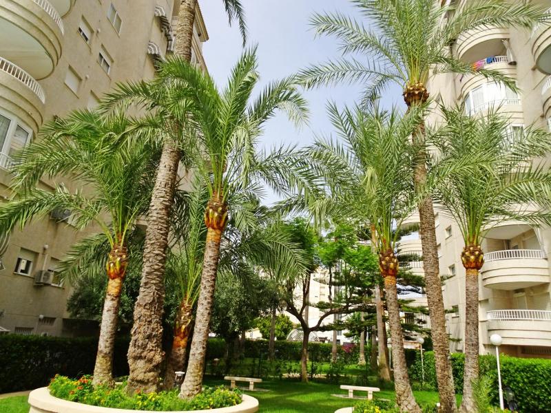 TROPICANA GANDIA - Alquiler sólo Familias - image 42