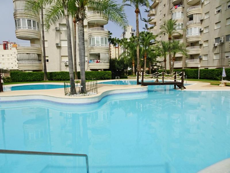 TROPICANA GANDIA - Alquiler sólo Familias - image 8