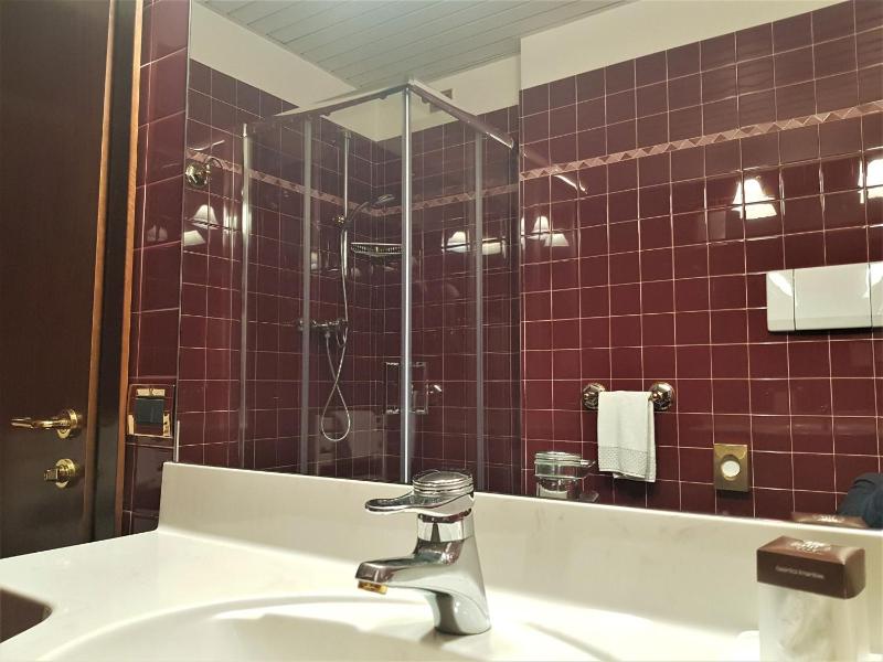 Deluxe Double or Twin Room image 4