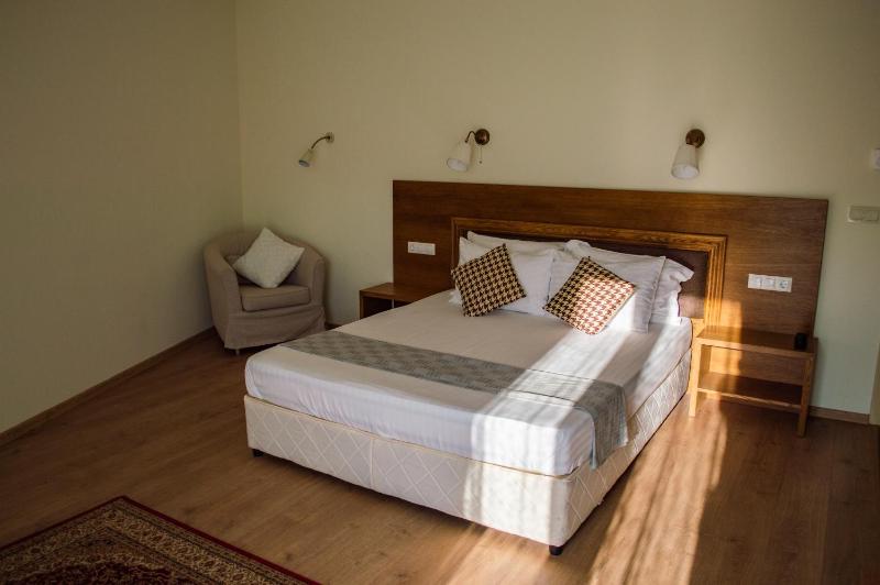 Large Double Room image 1