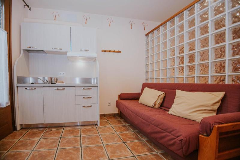 Studio with Terrace image 4