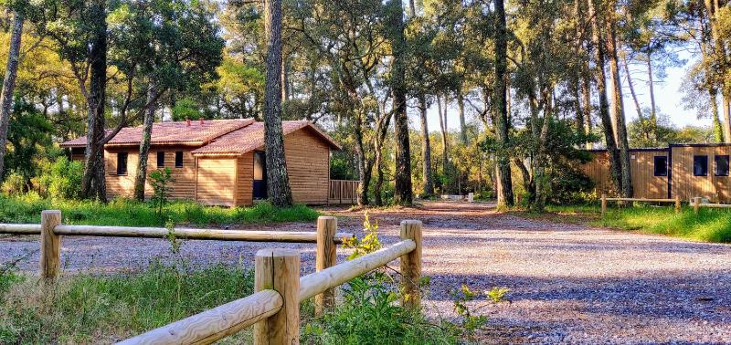 Superior Villa image 2