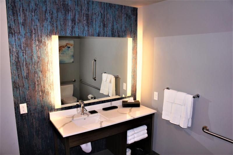 Deluxe King Suite - Non-Smoking image 4