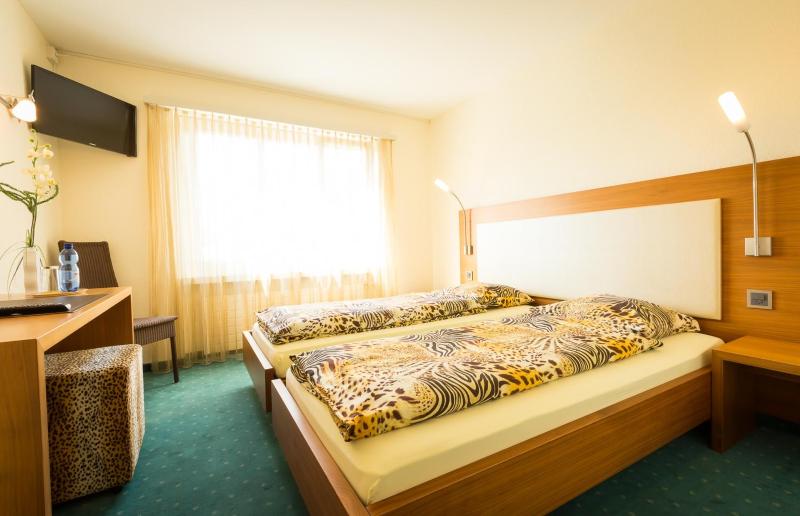 Double or Twin Room image 4