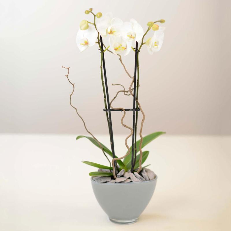 Scotia House - Beautifully Presented Accommodation - image 12