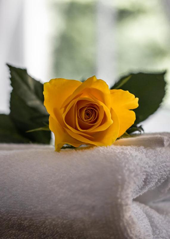 Scotia House - Beautifully Presented Accommodation - image 20
