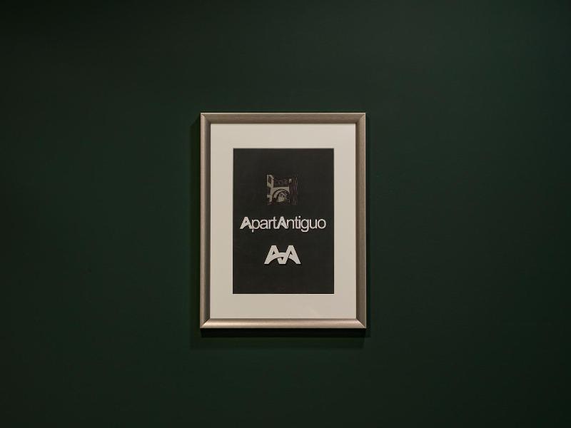 Apartantiguo Altamirano 13 - image 4