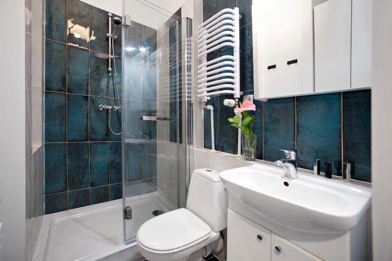 One-Bedroom Apartment image 3