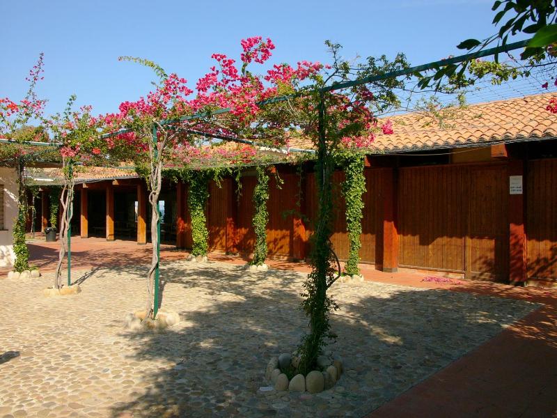 Camping Costa Ponente - image 4