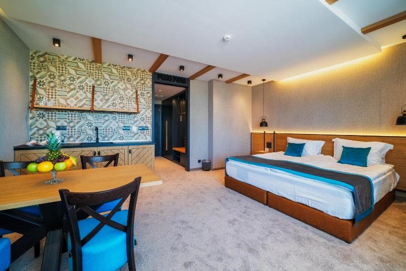 Deluxe Double Room image 3