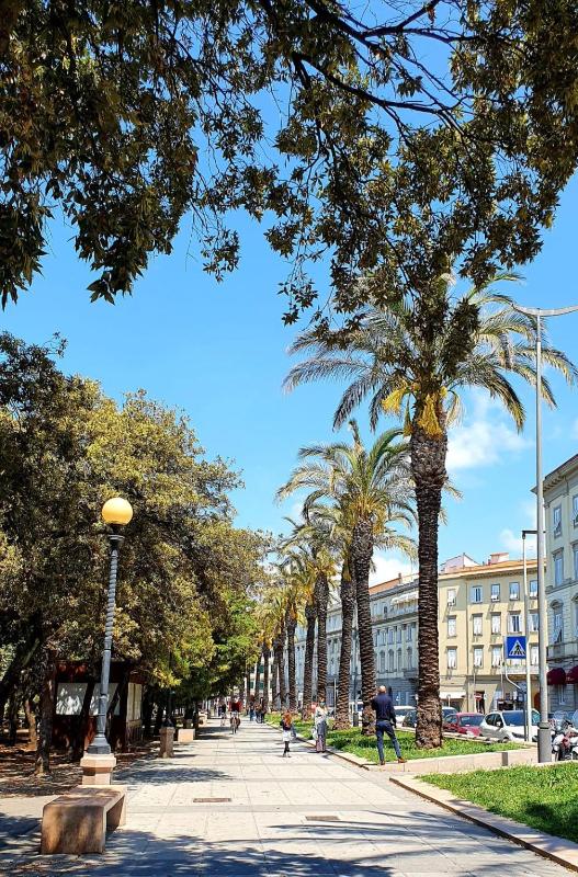 ALmare - Nice & Easy Images