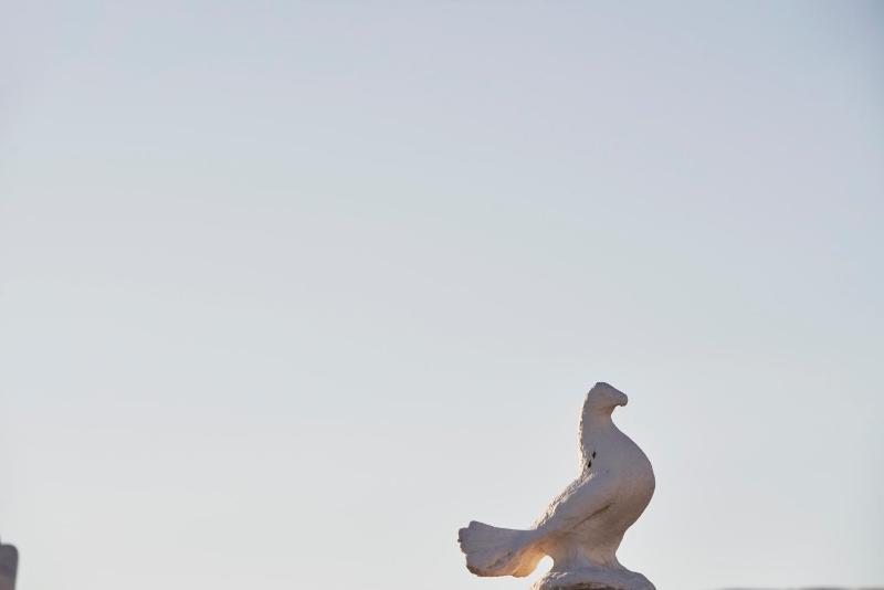Galation - image 3