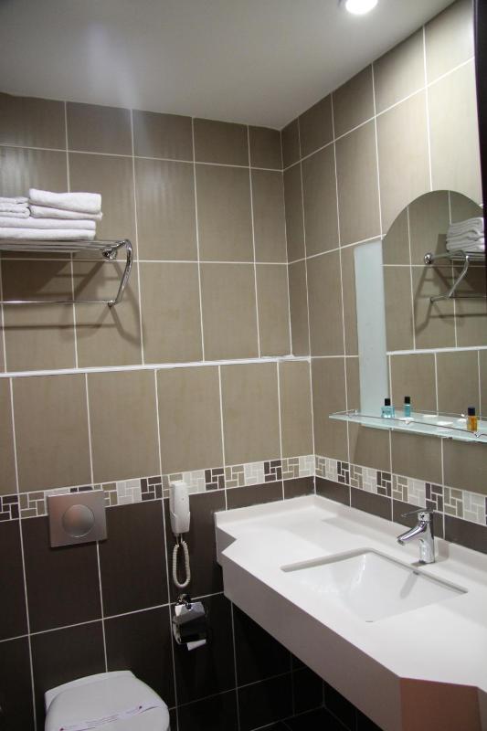 Double or Twin Room image 4