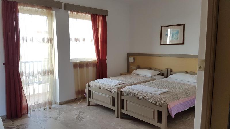 Studio with Balcony image 3