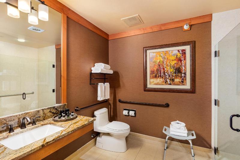 King Room with Roll-In Shower - Disability Access image 3
