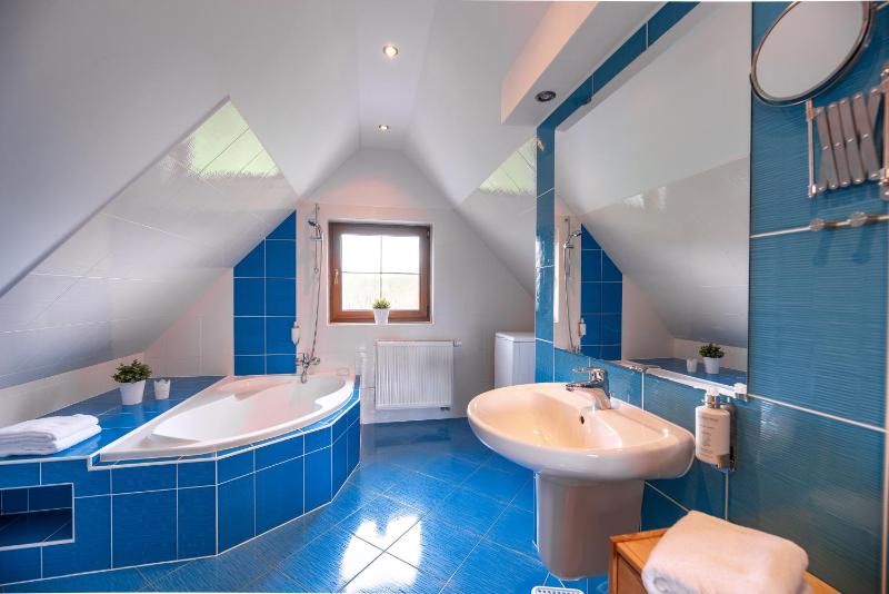 Deluxe Suite image 4