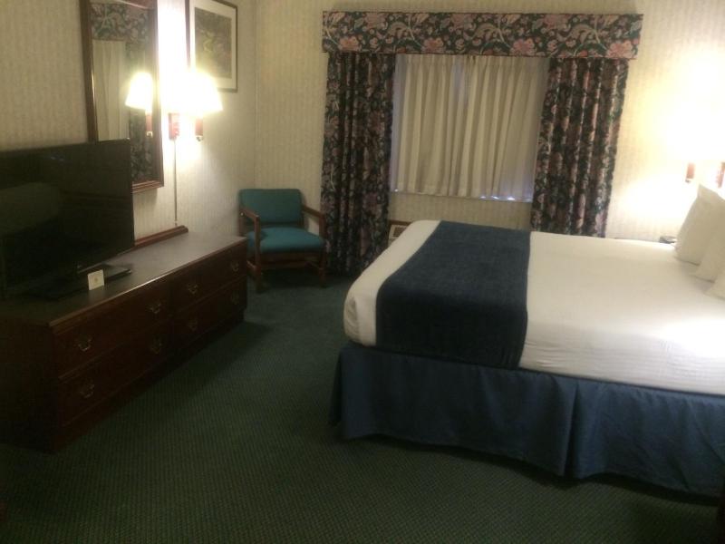 King Suite with Sofa Bed - Non-Smoking image 2