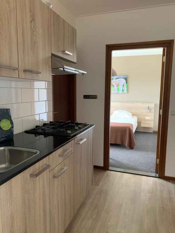 One-Bedroom Apartment image 4