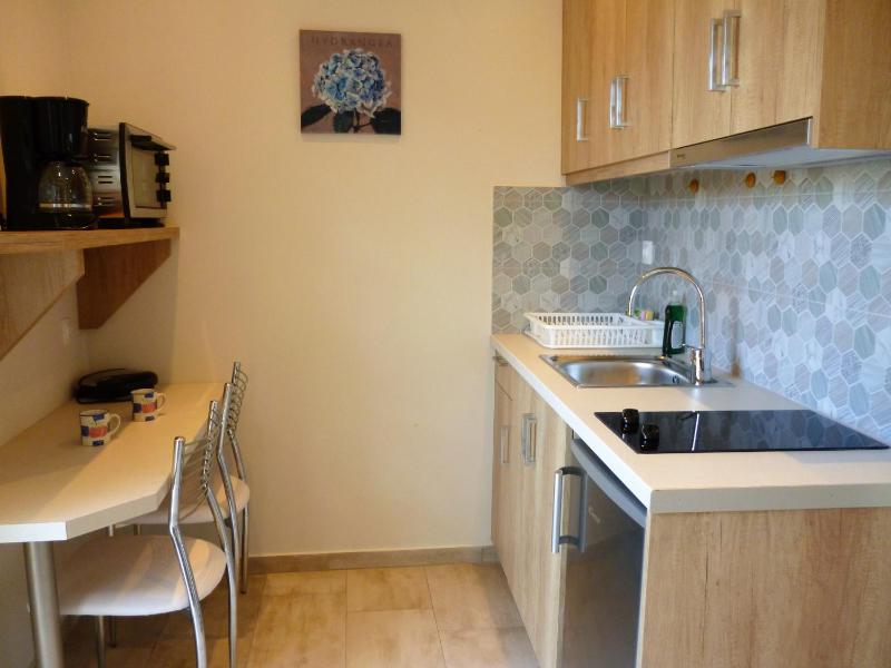 Standard Double or Twin Room with Garden View image 4