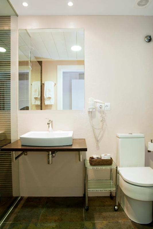 Deluxe Double or Twin Room with View image 2