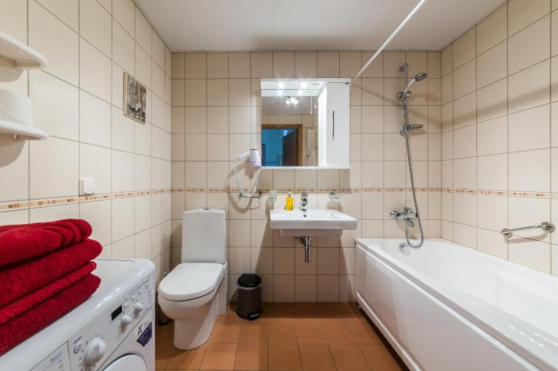 Standard One-Bedroom Apartment with Balcony image 4