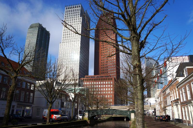 Large One-Bedroom Apartment image 4